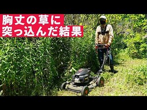 胸丈の草だらけの荒れ地に自走式草刈り機で突っ込んでみた結果…