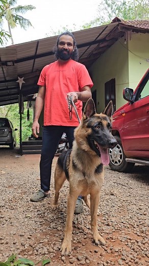 34K views · 734 reactions | Adoption success stories ജൂഡോക്ക് വീടായി! #doglover | Linu Shajan | Facebook