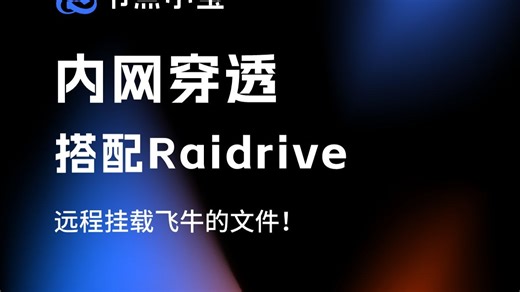 通过内网穿透搭配Raidrive远程挂载飞牛的文件