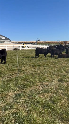 3.1K views | Brad Otto on Reels | Facebook