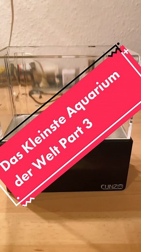 Das kleinste Aquarium der Welt ist Fertig eingerichtet. Wie findet ihr es geworden ?#fishtok #aquarium