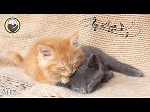 Cat Music - 10 Hours of Deep Relaxing Music for Cats (with cat purring sounds)