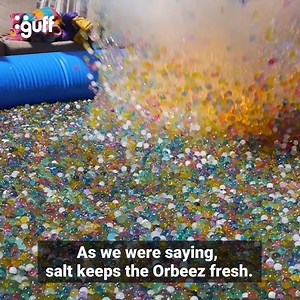 You'll learn what Orbeez are, and that you want them. | Guff