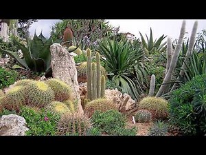 34 Idées pour créer un jardin méditerranéen