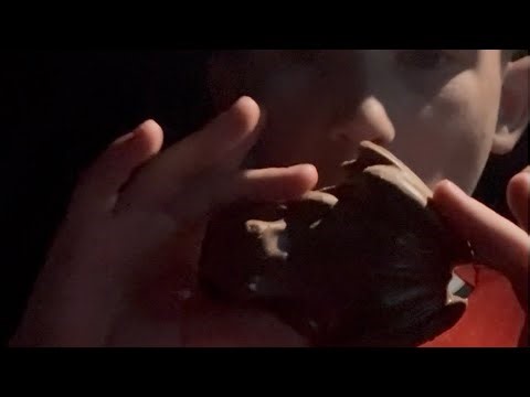 Eating a chocolate frog from hogwarts