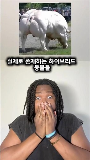Hybrid Animals That Actually Exist