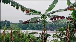 ချင်းတွင်းမြစ်ကြောင်းအတိုင်း ဆန်တက်လာတဲ့ အကြမ်းဖက် စစ်သင်္ဘောအုပ်စုကို တော်လှန်ရေး မဟာမိတ်တပ်တွေ တိုက်ခိုက်ရာ အကြမ်းဖက်စစ်တပ်က ထိခိုက်သေဆုံးမှုများနိုင် ဇူလိုင် ၁၈ ၊ ၂၀၂၅ ချင်းတွင်းမြစ်ကြောင်းအတိုင်း ဆန်တက်လာတဲ့ အကြမ်းဖက်စစ်သင်္ဘောအုပ်စုကို တော်လှန်ရေး မဟာမိတ်တပ်တွေက ကြားဖြတ်တိုက်ခိုက်ရာ အကြမ်းဖက်စစ်တပ်ဘက်က ထိခိုက်သေဆုံးမှုများ နိုင်တယ်လို့ ချင်းတွင်းနွေဦးတော်လှန်ရေးအင်အားစု ထံမှ​သိရပါတယ်။ တော်လှန်ရေး မဟာမိတ်တပ်တွေက ချင်းတွင်းမြစ်ကြောင်းအတိုင်း ဆန်တက်လာတဲ့ အကြမ်းဖက်စစ်သင်္ဘောအုပ်စုကို ဇူလိုင် ၁၆