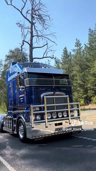 So happy on how this truck turned out. condolucis new k200 came out honestly so good. I’m so proud of you dad you’ve worked so hard and now it shows. you are in a brand new truck. Prince became king in this one for sure 💙 @Dan #gullspotto #truck #phat #kenworth #k200 #condolucis #newtruck #fyp #rollershot