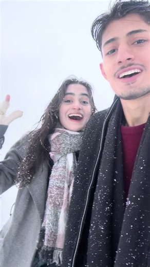 Stunning Snowfall Scenes Captured on Camera