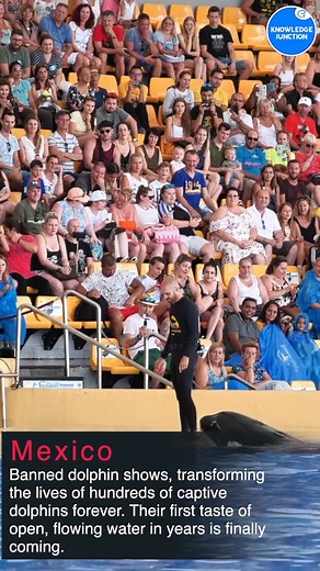 Mexico | Knowledge Junction