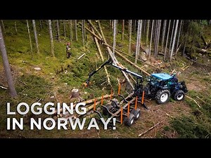 How They Log Trees in Norway!
