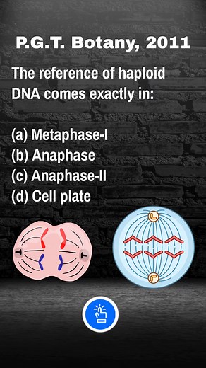 The reference of haploid DNA comes exactly in? TGT PGT Biology PYQ #studyclick #studyclickindia .... #biologynotes #biologystudents#instagramreelsinindia #Biology #biologymcq #biologymcqs #zoology #botany #bioquiz #shorts #reels | StudyClick
