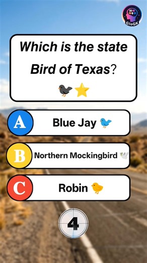 Can You Guess the State Bird of Texas? 🐦⭐ | US State Trivia #Shorts #USAGK #Quiz