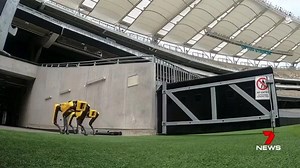 23K views · 80 reactions | A robot dog, helping healthcare workers worldwide, has arrived down under. Spot looks more like something out of a movie, but has been a big asset during COVID-19. www.7NEWS.com.au #7NEWS | 7NEWS Brisbane | Facebook