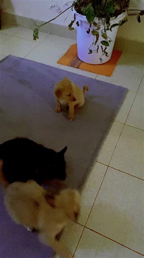 Understanding the Empath: Traits and Insights