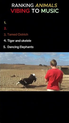 Best of Animals vibing to Music 🎶🙈 #entertaininganimals #animals #music #dancing