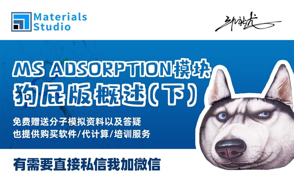MS-ADSORPTION狗屁版概述（下）