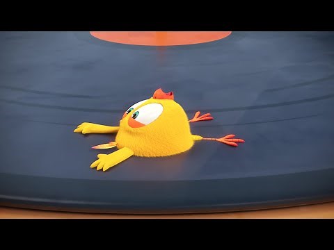 Where's Chicky? Funny Chicky 2022 🎶 TURNTABLE | Cartoon in English for Kids | New episodes