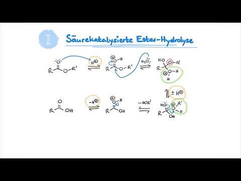 Mechanism Of The Week: Ester-Hydrolyse