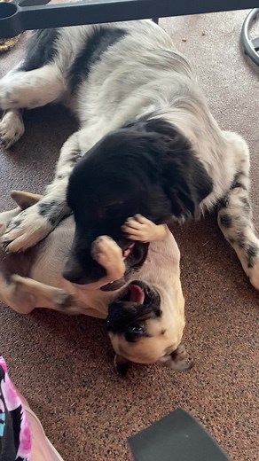 Victoria Nelson on TikTok