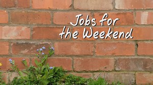 40K views · 1.6K reactions | BBC Gardeners World on Reels | Facebook