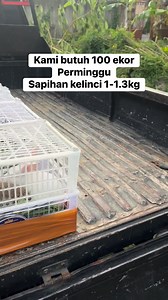 1.7K reactions · 16 shares | Lokasi setor di Maps Zuris Rabbit Farm Karanganyar dan beberapa Tim Kami | Edris Nugroho | Facebook