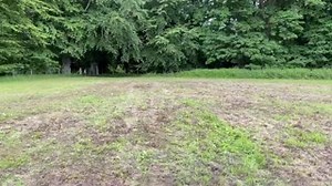 34K views · 947 reactions | Are you going to Pony Club Camp this summer?  A bit of fun on a Monday from Bennachie Pony Club doing their drill ride at Pony Club Camp!  We absolutely love the energy instructor, Blair Wallace Stocks, is bringing to this performance! ⚡ #PonyClub #lovethis #drillride #fun #pccamp | The Pony Club | Facebook