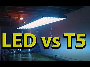 Reef Tank Lights T5 vs LED