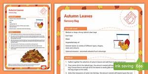 Autumn Leaves Sensory Bag