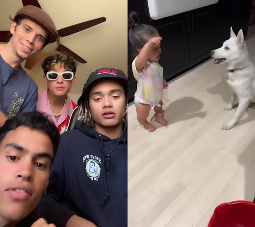 #duet with @theegarciafamily PRETTYMUCH REACTS! They are too cute! #reactions #react #humor