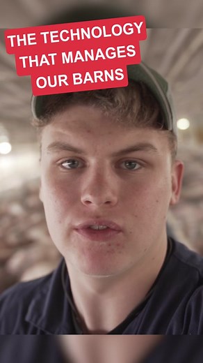 The technology in hog barns today make everything easier to manage with less labor #facts #advocate #agriculture #pigfarm