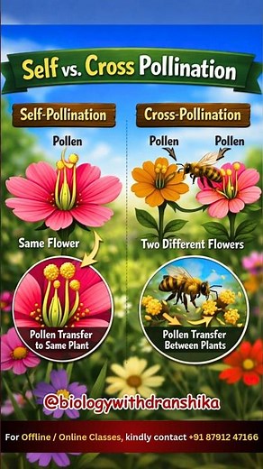 Self vs. Cross Pollination 🌸🌼 #pollination #selfpollination #crosspollination #plantreproduction