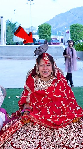 Real Weddings, Unreal Fails😂💍 #humor #fails #trending #weddingfails | Romana Gaming