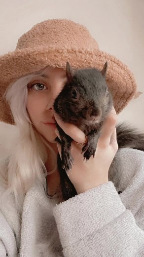 Sandy appreciation💕 #squirrelsoftiktok #fyp #trending #squirreltok #canada🇨🇦 #fypシ #canadiancheck #squirrelgirl #animaltok #sandycheeks #spongebob