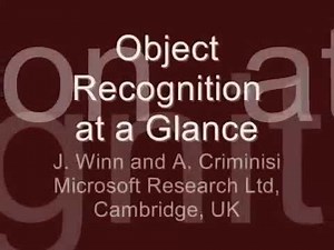 Object Class Recognition at a Glance
