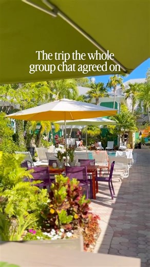 1K views · 39 reactions | From “we should plan a trip” to “홬홚 홖환황홪홖홡홡홮 홙홞홙 홞황”. There's no better feeling! | Almond Tree Inn | Facebook