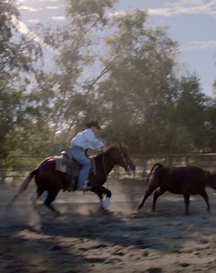 10K reactions · 4.5K shares | We’re thankful for Justin starting Cowboy 911 and helping rescue animals across the country. Who are the people you’re thankful for? | Facebook | Facebook