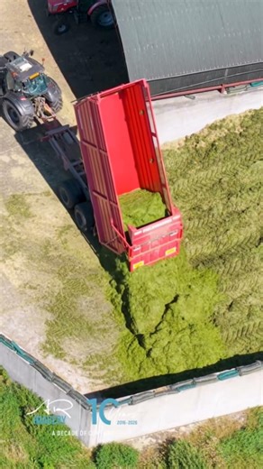 another load tipped at the silo #farming #agriculture #arimagery