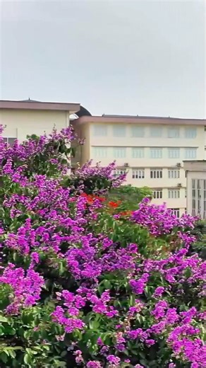 TNUE | Trường Đại học Sư phạm Thái Nguyên