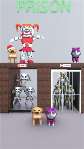 DANCE WITH THE BOSSES #cute #funny #shots #dog #cat