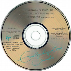 Sandra - Everlasting Love (PWL Remix)