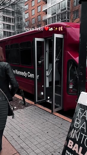 ABT Swan Lake Performance at The Kennedy Center