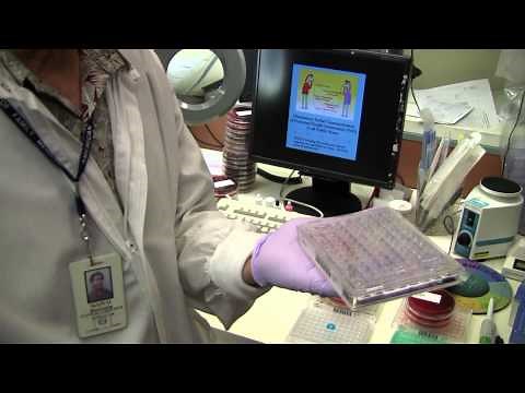 ID and sensitivity panel for pathogenic bacteria