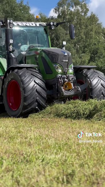 Corte de silaje con Fendt y McHale