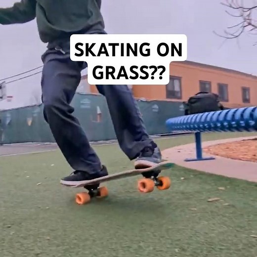 Longboard vs Skateboard vs Cruiser