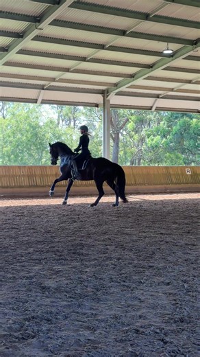 Fun exercises for my clever 6-year-old with Spencer Wilton today 🙌🏼🥹 #equestrian #fyp #dressagehorse #dressagerider #dressage