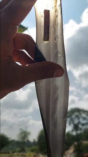 💯NEVER Clog Again! Simple Drip Irrigation Algae Tips! #irrigation