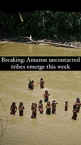 Mashco Piro hunter-gatherers appear on river bank to collect material for shelters, amid fears of ‘humanitarian disaster’ From encroachment from loggers. it’s a terrifying event for the people who live in these remote parts of Amazonia because the tribals carry arrows and bows and are very capable of shooting and killing without provocation. They’ve even killed people who were attempting to help them. I wanted to show you what their arrows look like up close. It’s incredible to hold some thing m