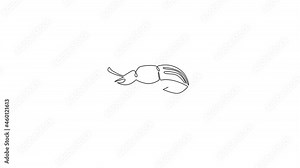 Animated self drawing of one continuous line draw cute beetle for company logo identity. Little insect mascot concept for public garden icon. Full length single line animation illustration.