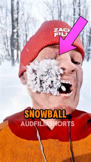 If You Ever Wondered Why Snowballs Don’t Fall Apart ❄️